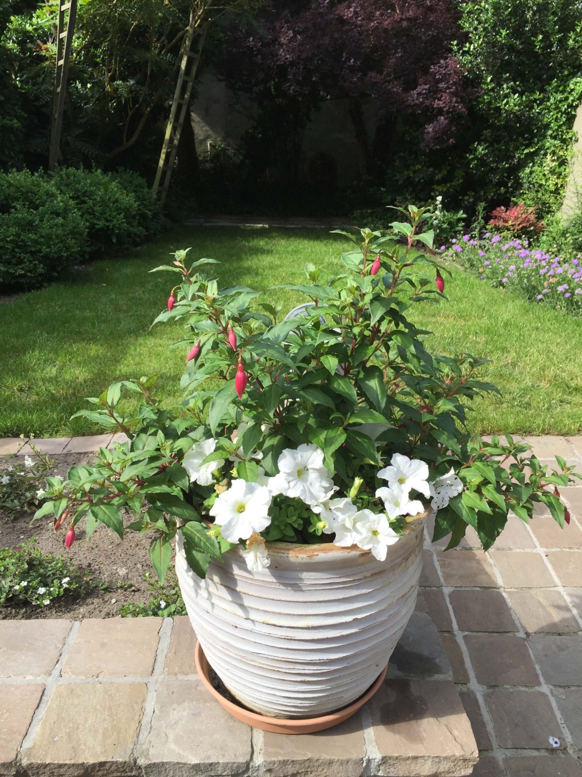 vijfsterren vakantiewoning bellerose brugge-20